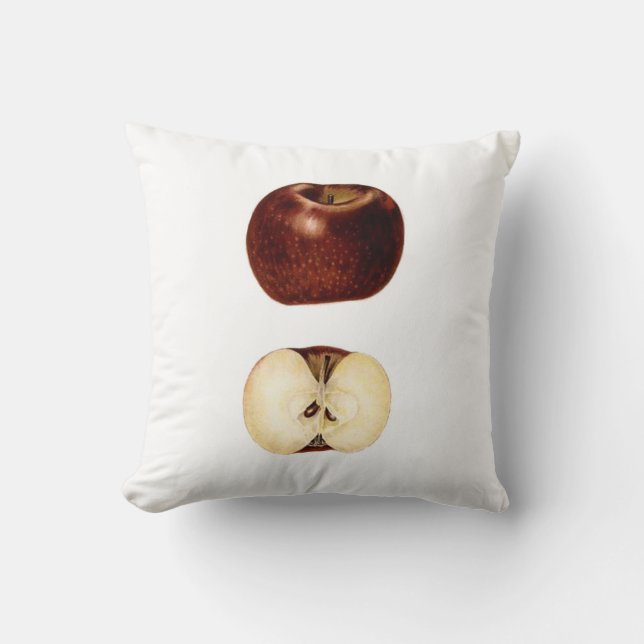 Apple Slice Cushion (Front)