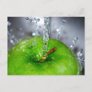 Apple Splash Postcard
