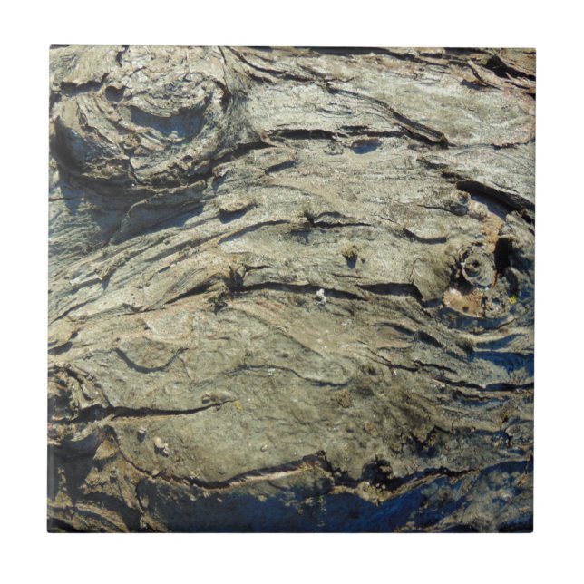 Apple Tree Bark Texture Ceramic Tile (Front)