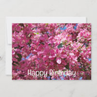 Apple tree blooming. Pink flowers. Happy Birthday