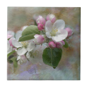 Apple Tree Blossoms Ceramic Tile
