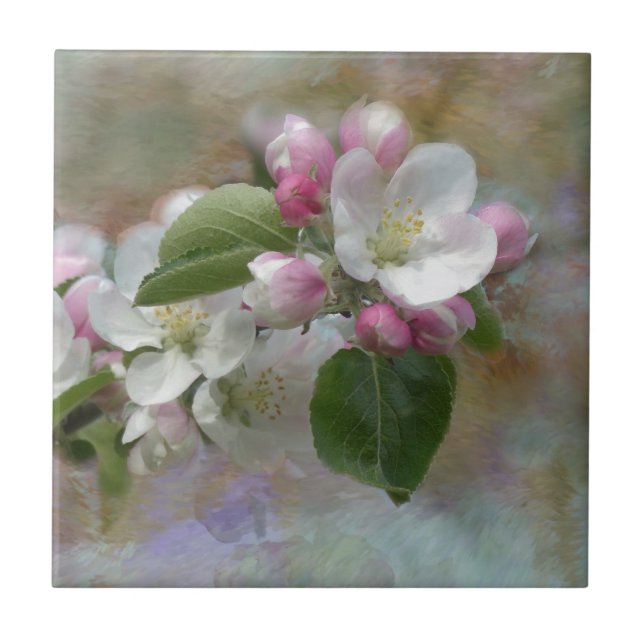 Apple Tree Blossoms Ceramic Tile (Front)