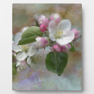 Apple Tree Blossoms Plaque