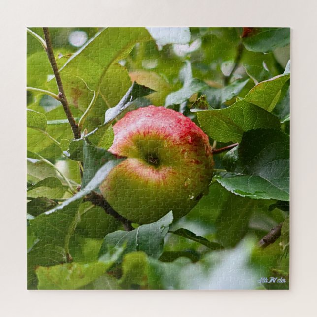 apple tree difficult green forest full season  jigsaw puzzle (Horizontal)