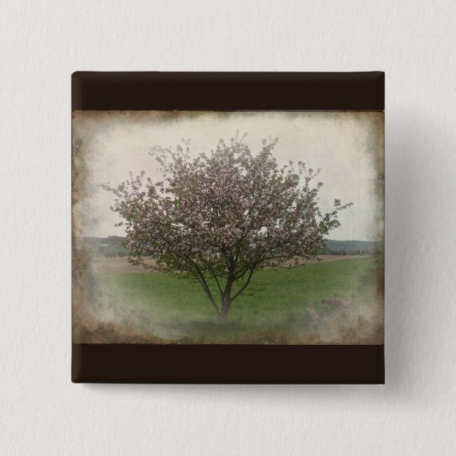 Apple Tree in Bloom 15 Cm Square Badge (Front)