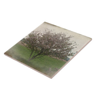 Apple Tree in Bloom Ceramic Tile