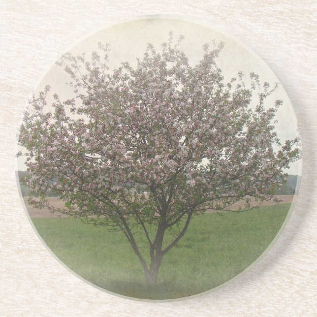 Apple Tree in Bloom Coaster (Front)