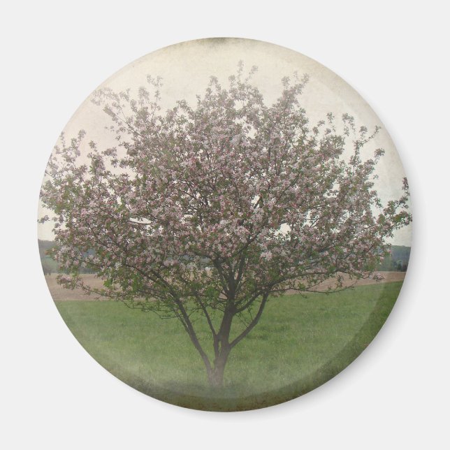 Apple Tree in Bloom Magnet (Front)