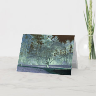 Apple Tree in Spring Card