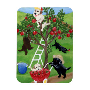 Apple Tree Labradors Magnet