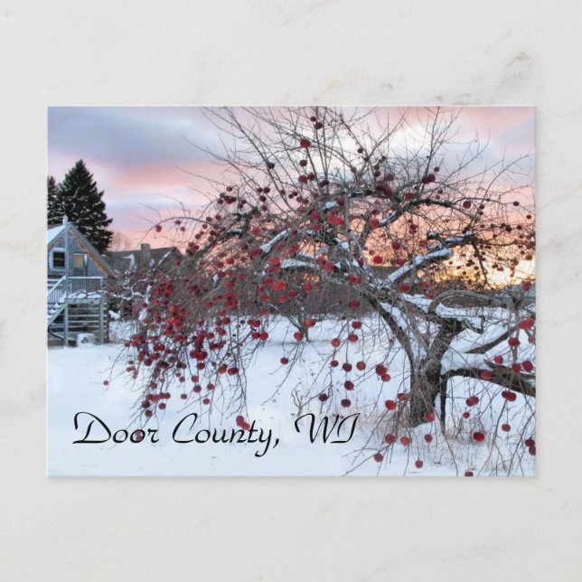 Apple Tree Postcard (Front)