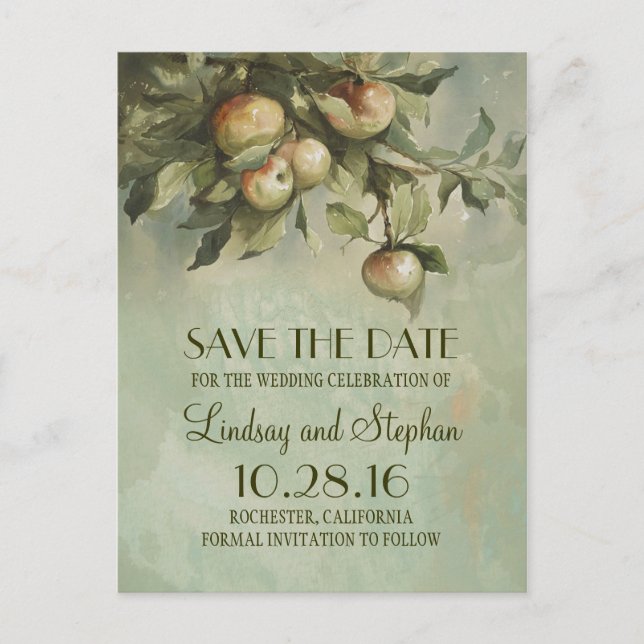 Apple tree rustic save the date postcards (Front)