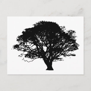 Apple Tree Silhouette Postcard