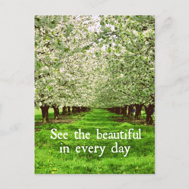 Apple Trees Blossoms with Inspirational Quote Postcard (Front)