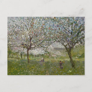 Apple Trees in Flower Postcard