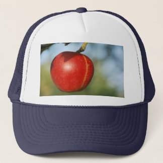 Apple truck hat