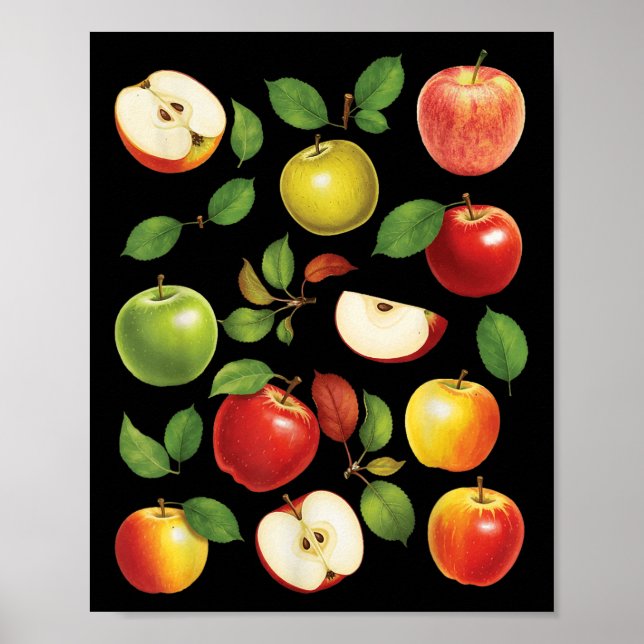 Apple Varieties Different Kinds Apple Picker Apple Poster (Front)