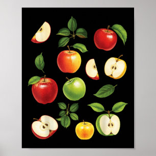 Apple Varieties Different Kinds Apple Picker Harve Poster
