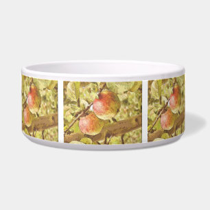 APPLES