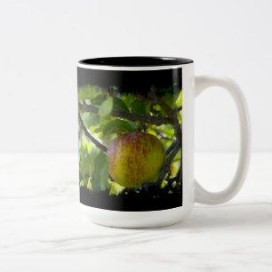 Apples 6 Grungy Black Two-Tone Coffee Mug