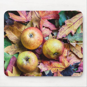 Apples and autumn leaves mouse pad
