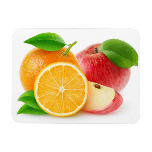 Apples and oranges magnet