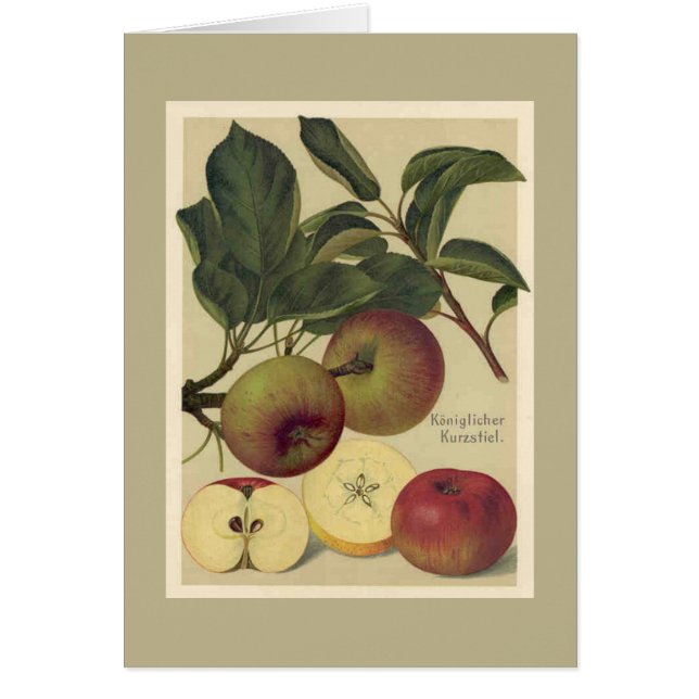 Apples Botanical Fruit (Front)