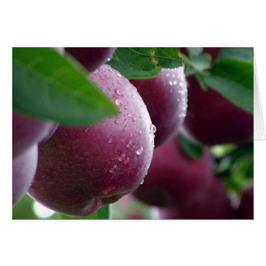 Apples Card