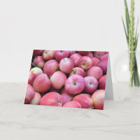 Apples Fresh From The Orchard
