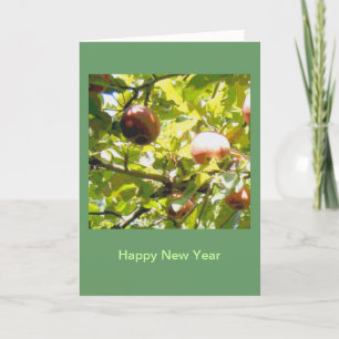 Apples in Sunlight and Shadow Holiday Card