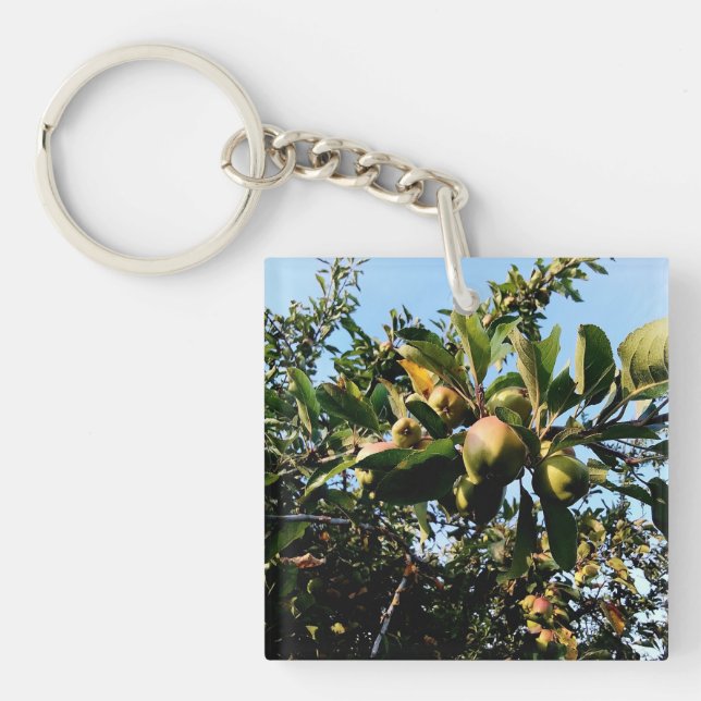 Apples Key Ring (Front)