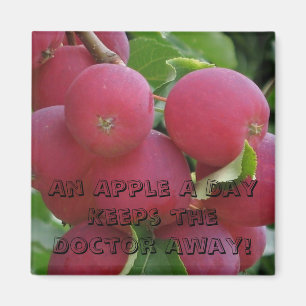 Apples Magnet