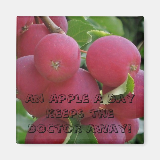 Apples Magnet (Front)