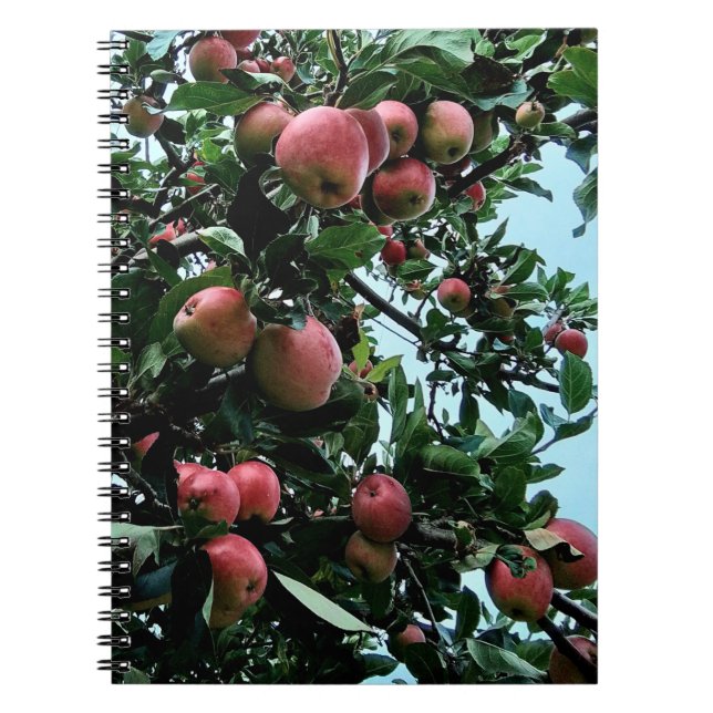 Apples Notebook (Front)
