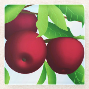 "Apples on a Branch" Glass Coaster