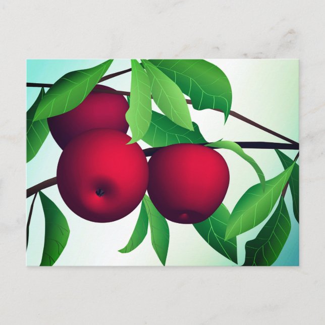 "Apples on a Branch" Postcard (Front)