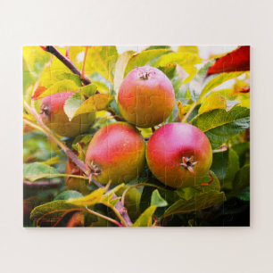 Apples on a tree jigsaw puzzle