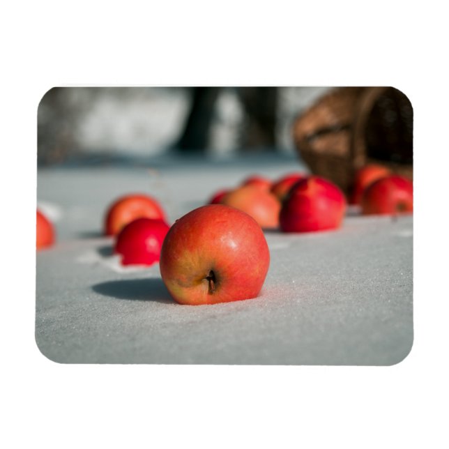 Apples on the snow magnet (Horizontal)