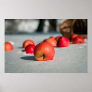 Apples on the snow poster