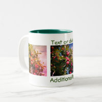 Apples On Tree Nature Photography Personalised