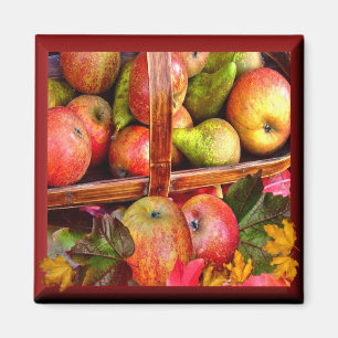 APPLES  & PEARS  ~ Magnet