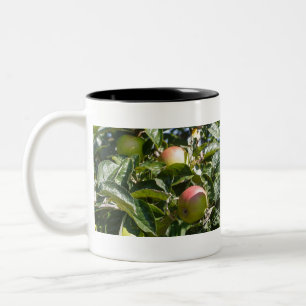 Apples ripening on an apple tree Two-Tone coffee mug