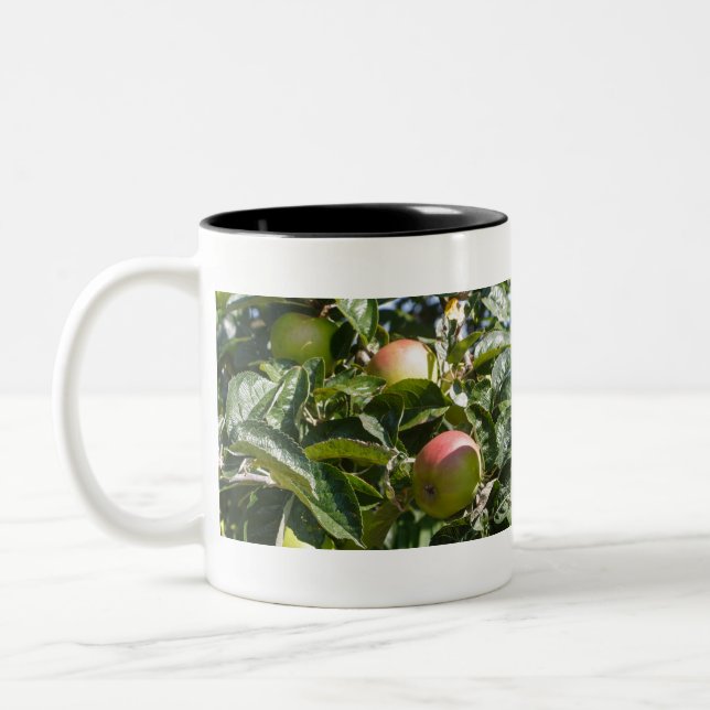 Apples ripening on an apple tree Two-Tone coffee mug (Left)