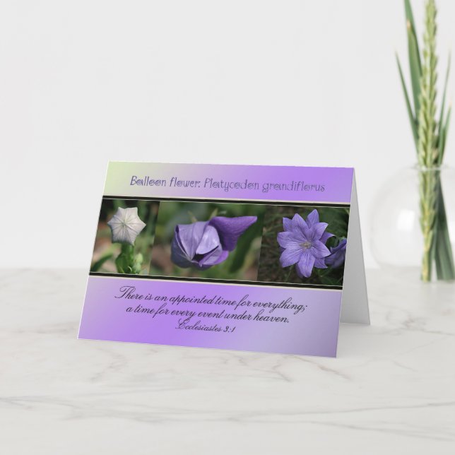 Appointed Time for Everything Card (Front)