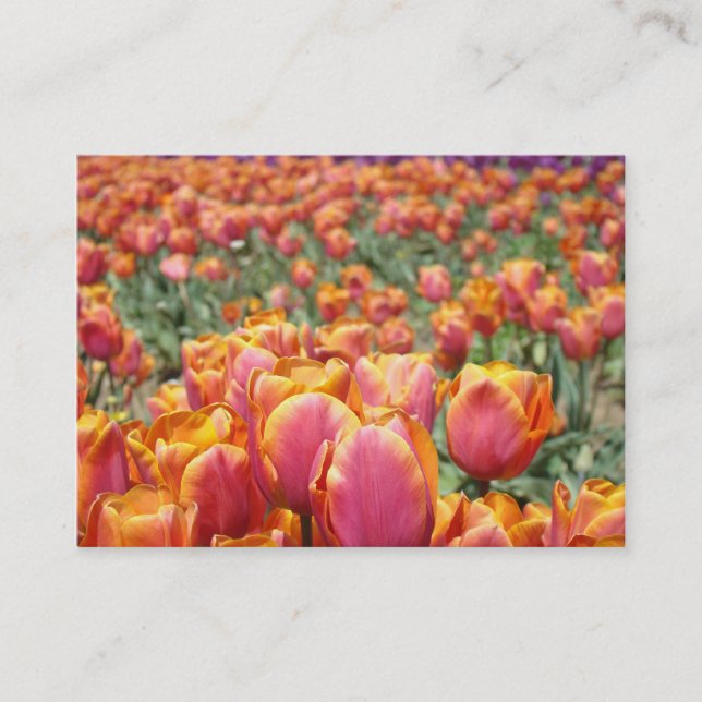 Appointment Cards custom Colourful Tulip Flowers (Front)