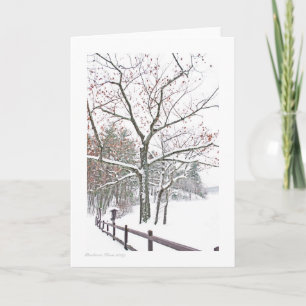 Appointments in Nature: Greeting size Card