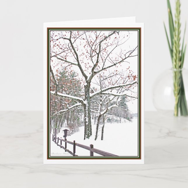 ***Appointments in Nature: Holiday Greeting (Front)