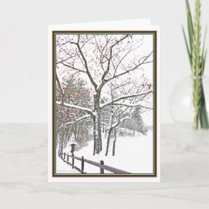 ***Appointments in Nature: Holiday Greeting Card