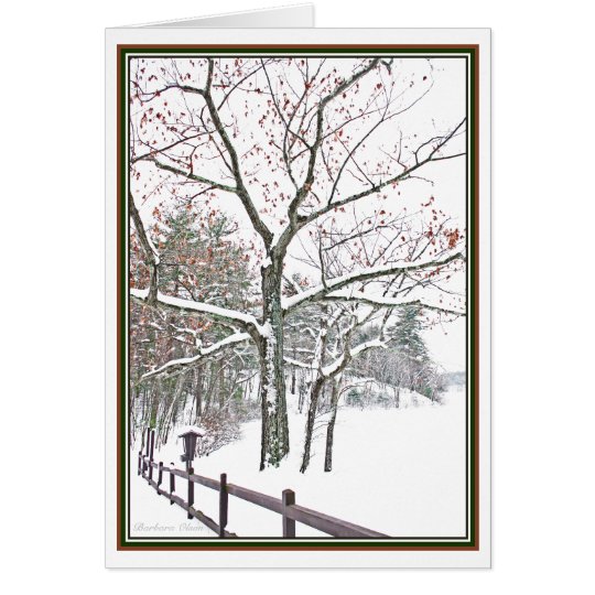 ***Appointments in Nature: Holiday Greeting Card