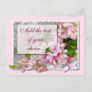 APPPLE BLOSSOM ~ Postcard